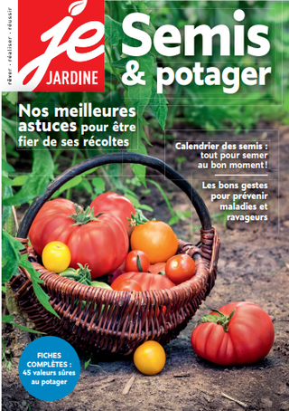 Semis & potager | Je jardine