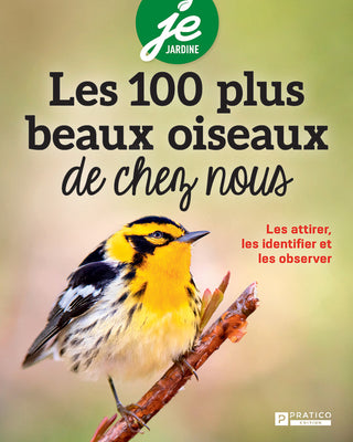 Les 100 plus beaux oiseaux de chez nous