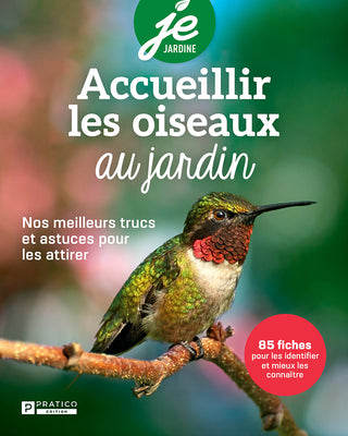Accueillir les oiseaux au jardin – Nos meilleurs trucs et astuces pour les attirer | Je Jardine